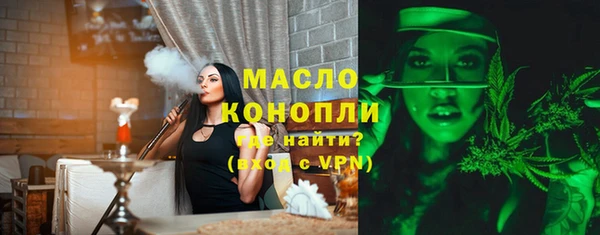 гашик Пестово
