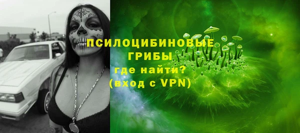 эйфоретик Пересвет