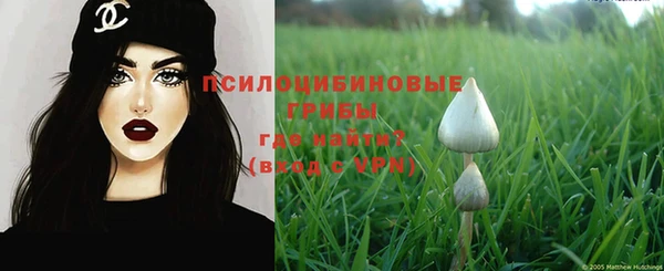 крисы Переславль-Залесский