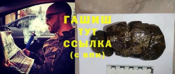 гашик Пестово