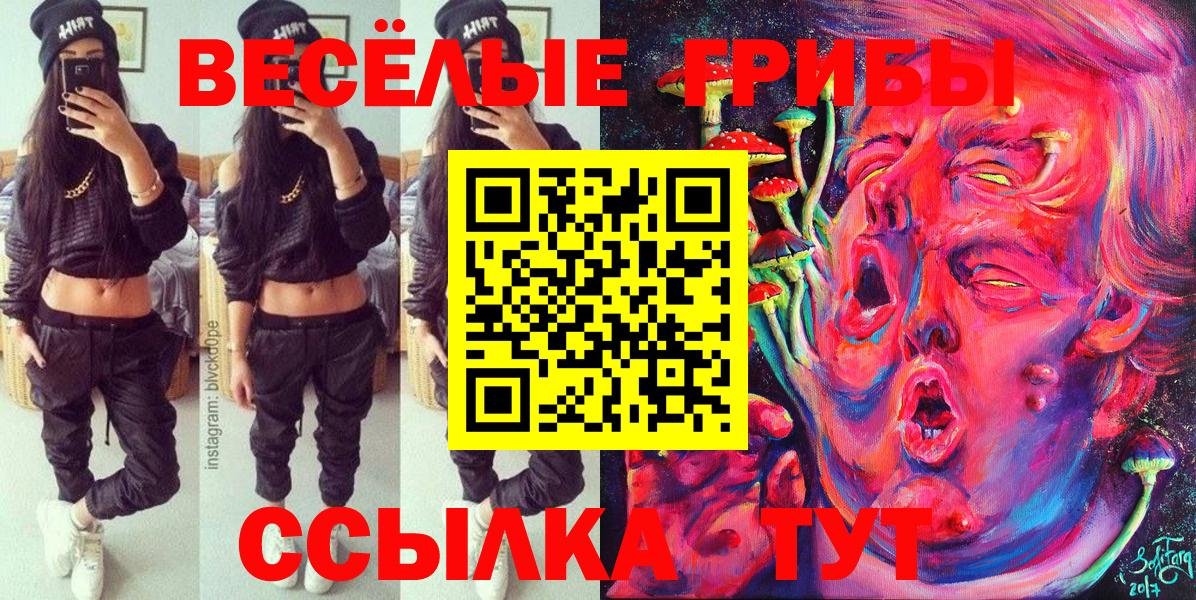 Ялуторовск  Галлюциногенные грибы мицелий  Галлюциногенные грибы мицелий  Вход с VPN 