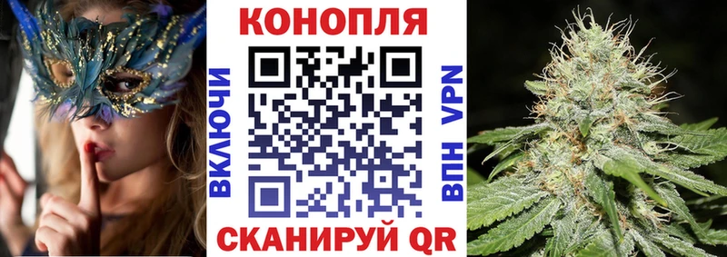 купить наркоту  Ялуторовск  Бошки марихуана планчик 
